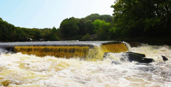 Ashgrove Mill Power Station